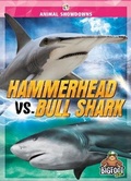 Cover: Hammerhead vs. Bull Shark - Bigfoot Books