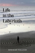 Cover: Life in the Labyrinth - Savvy Book Marketing