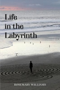 Enlarge image Cover: Life in the Labyrinth - Savvy Book Marketing