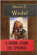 Cover: A Drink from the Springs - Moonhowler Press
