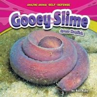 Enlarge image Cover: Gooey Slime - Bearport Publishing Company