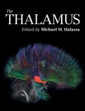 Abbildung von: The Thalamus - Cambridge University Press