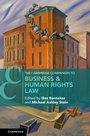 Cover: The Cambridge Companion to Business and Human Rights Law - Cambridge University Press