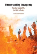 Cover: Understanding Insurgency - Cambridge University Press