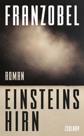 Cover: Einsteins Hirn - Zsolnay