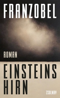 Abbildung von: Einsteins Hirn - Zsolnay