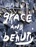 Cover: Grace and Beauty - Steidl