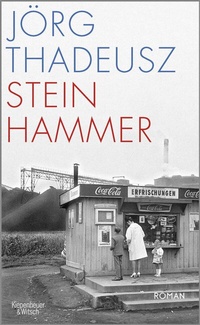 Abbildung von: Steinhammer - Kiepenheuer & Witsch