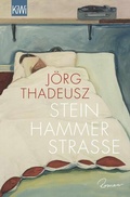 Cover: Steinhammerstra&szlig;e - Kiepenheuer & Witsch