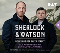 Cover: Sherlock & Watson - Neues aus der Baker Street: Das Abenteuer mit dem Blutdiamanten (Fall 13) - Der Audio Verlag