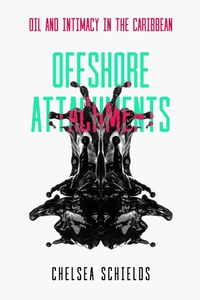 Abbildung von: Offshore Attachments - Naval Institute Press
