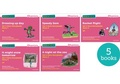 Cover: Read Write Inc. Phonics: Pink Set 3 More Storybooks (Mixed Pack of 5) - Oxford University Press