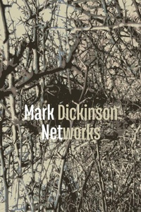 Enlarge image Cover: Networks - Shearsman Books