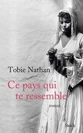 Cover: Ce Pays Qui Te Ressemble - Stock