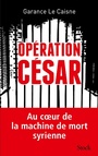 Cover: Opération César - Stock