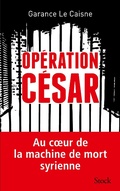 Cover: Op&eacute;ration C&eacute;sar - Stock
