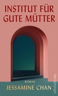Cover: Institut f&uuml;r gute M&uuml;tter - Ullstein