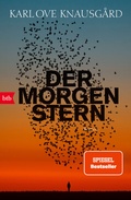 Cover: Der Morgenstern - btb