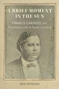 Cover: A Brief Moment in the Sun - Zando - Hillman Grad Books