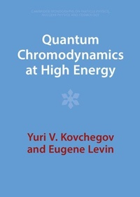 Abbildung von: Quantum Chromodynamics at High Energy - Cambridge University Press