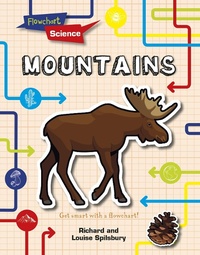 Enlarge image Cover: Mountains - Raintree Publishers