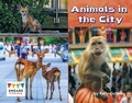 Cover: Animals in the City - Raintree Publishers
