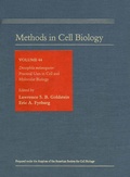 Cover: Drosophila melanogaster: Practical Uses in Cell and Molecular Biology - Academic Press