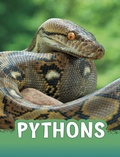 Cover: Pythons - Raintree Publishers