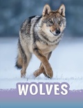 Cover: Wolves - Raintree Publishers