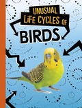 Cover: Unusual Life Cycles of Birds - Raintree Publishers