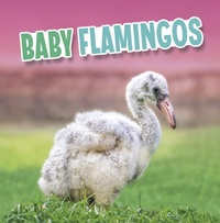 Enlarge image Cover: Baby Flamingos - Raintree Publishers