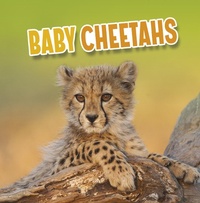 Enlarge image Cover: Baby Cheetahs - Raintree Publishers