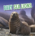 Cover: Baby Sea Lions - Raintree Publishers