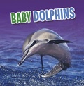 Cover: Baby Dolphins - Raintree Publishers