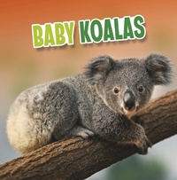 Enlarge image Cover: Baby Koalas - Raintree Publishers