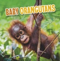 Cover: Baby Orangutans - Raintree Publishers