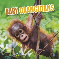 Enlarge image Cover: Baby Orangutans - Raintree Publishers