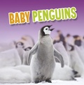 Cover: Baby Penguins - Raintree Publishers