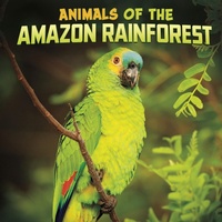 Enlarge image Cover: Animals of the Amazon Rainforest - Raintree Publishers