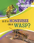 Cover: Is It a Honeybee or a Wasp? - Raintree Publishers