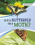 Cover: Is It a Butterfly or a Moth? - Raintree Publishers