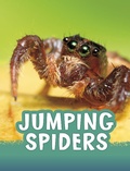 Cover: Jumping Spiders - Raintree Publishers