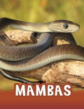 Cover: Mambas - Raintree Publishers