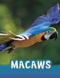 Cover: Macaws - Raintree Publishers