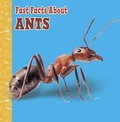 Cover: Fast Facts About Ants - Raintree Publishers