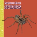 Cover: Fast Facts About Spiders - Raintree Publishers