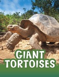 Cover: Giant Tortoises - Raintree Publishers