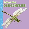 Cover: Fast Facts About Dragonflies - Raintree Publishers