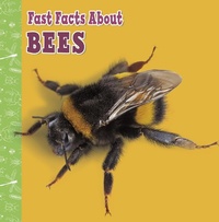 Enlarge image Cover: Fast Facts About Bees - Raintree Publishers