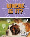 Cover: Where Is It? - Raintree Publishers